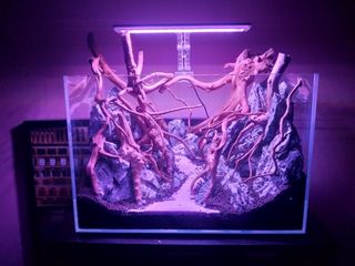 (Category: ) located in . Submitted by ibuysellstuffz (Listing ID 1064202218, Image 1). Description: .