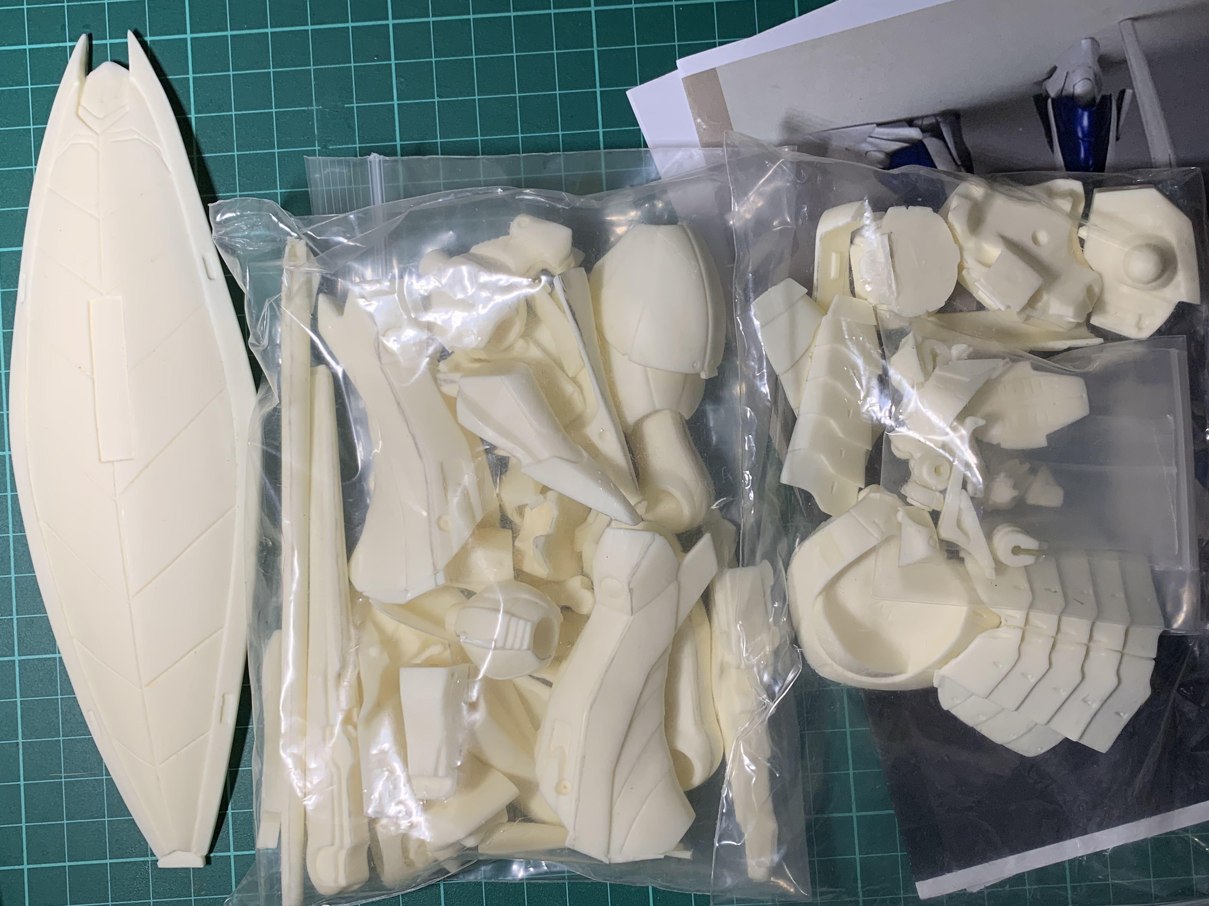 FSS 1/100 ベルリンホワイトヴァィオレット