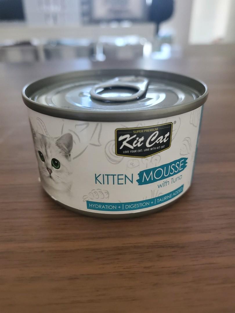 Kit Cat Kitten Mousse, Pet Supplies, Pet Food on Carousell