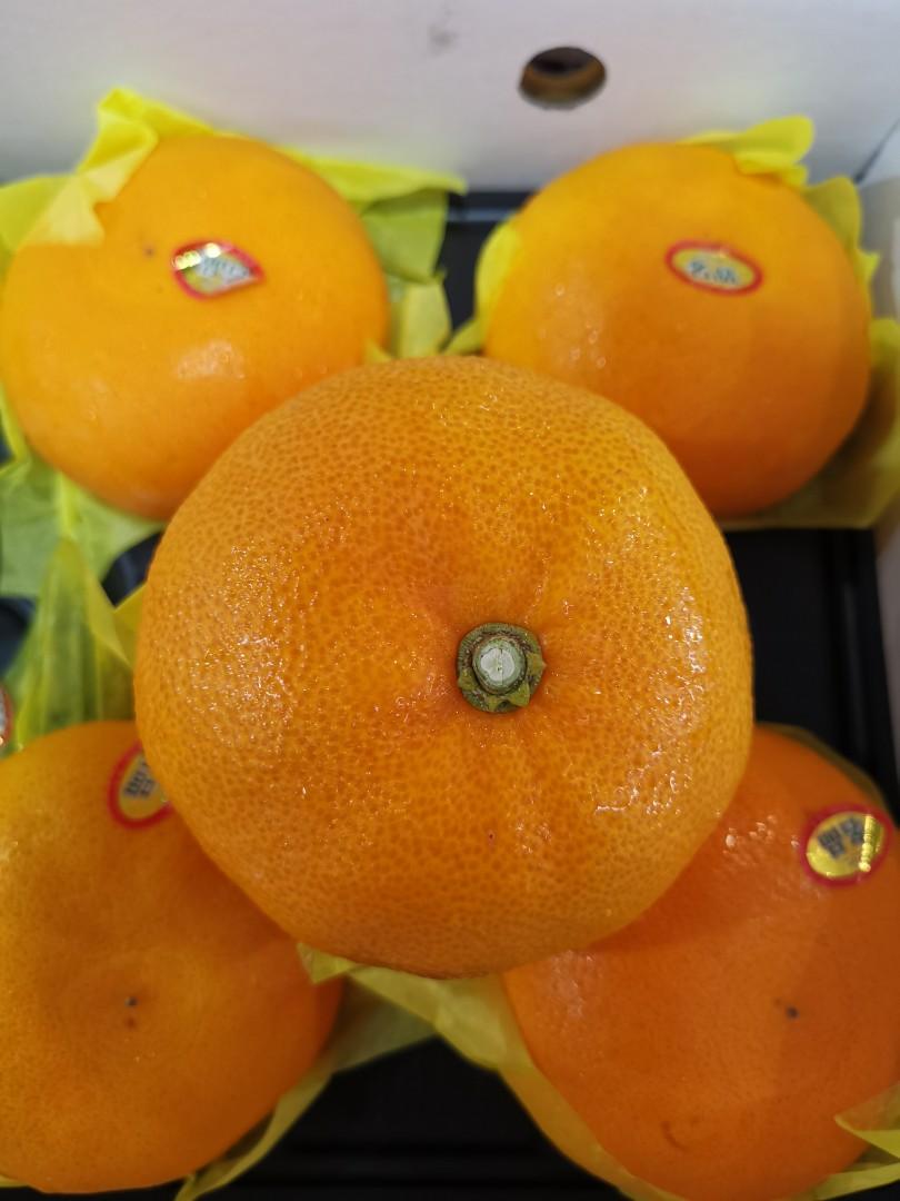 Korean Jeju CheonHyeYang (Korean Mandarin), Food & Drinks, Packaged