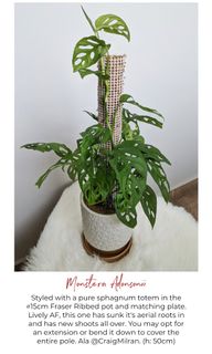 (Category: ) located in . Submitted by leafalifeco (Listing ID 1064059465, Image 1). Description: .