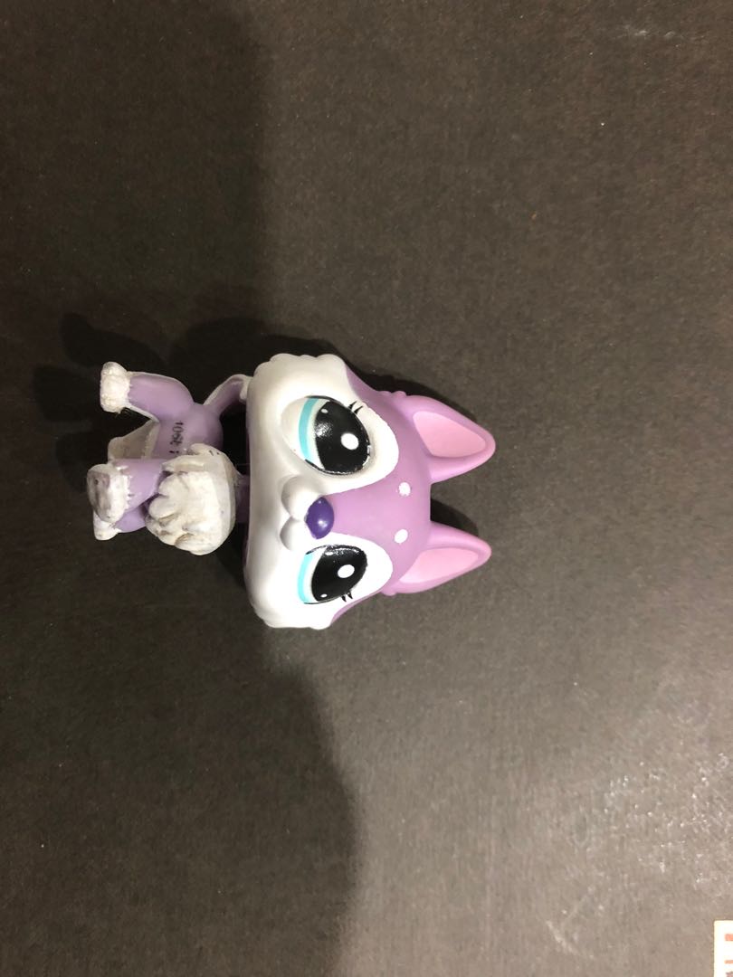 Lps top purple husky