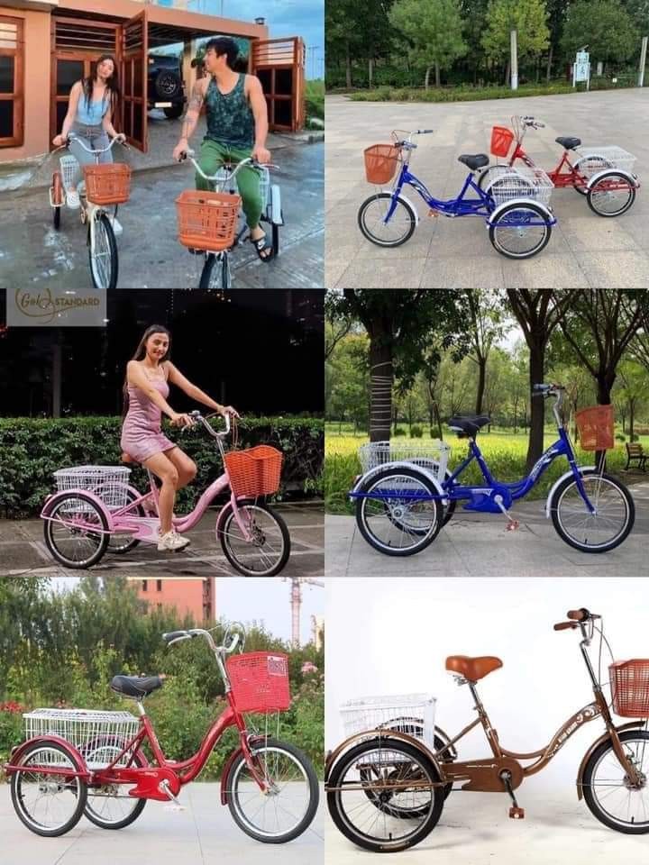 Korean shop tri bike