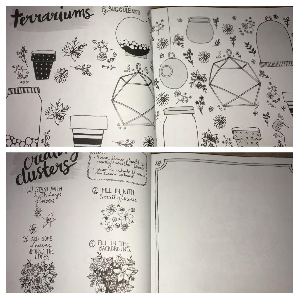 The Botanical Hand Lettering Workbook: Draw Whimsical and