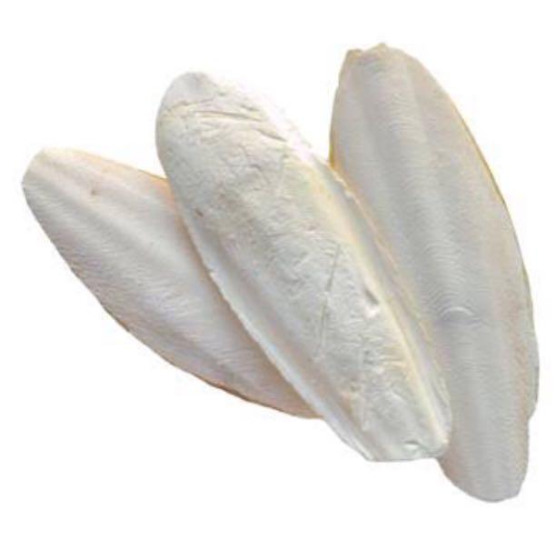 Cuttlebone For Bird’s Calcium (1 piece) (Category: Homes & Other Pet Accessories) located in Rizal. Submitted by idealgadgets (Listing ID 1064375524, Image 1). Description: I’m selling this item for Php 150 For Birds Calcium I do accept meet up and shipping.