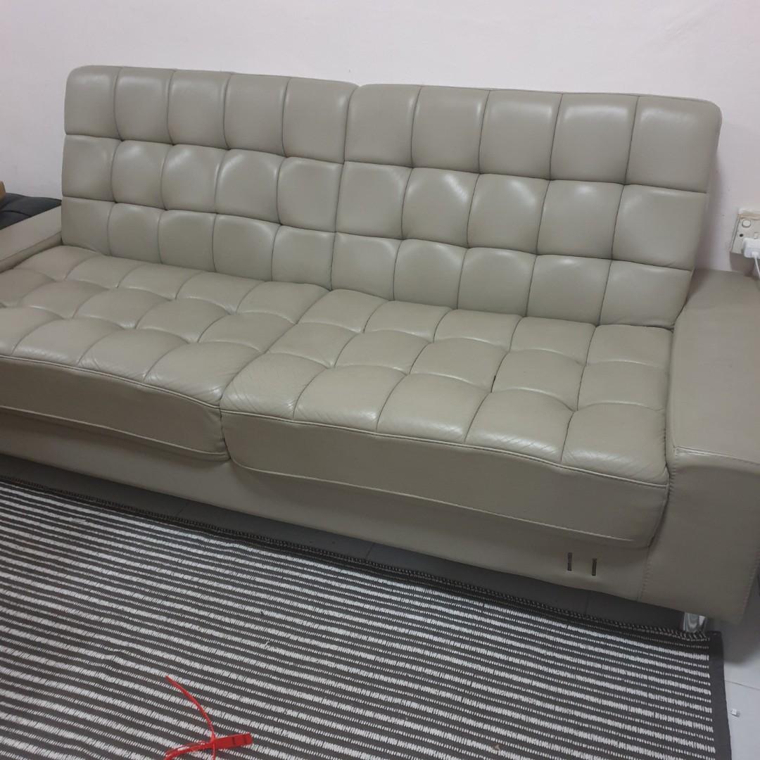 FREE SOFA BED, Furniture & Home Living, Furniture, Sofas on Carousell