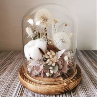 (Category: ) located in . Submitted by wildbotanics (Listing ID 1064320040, Image 1). Description: .