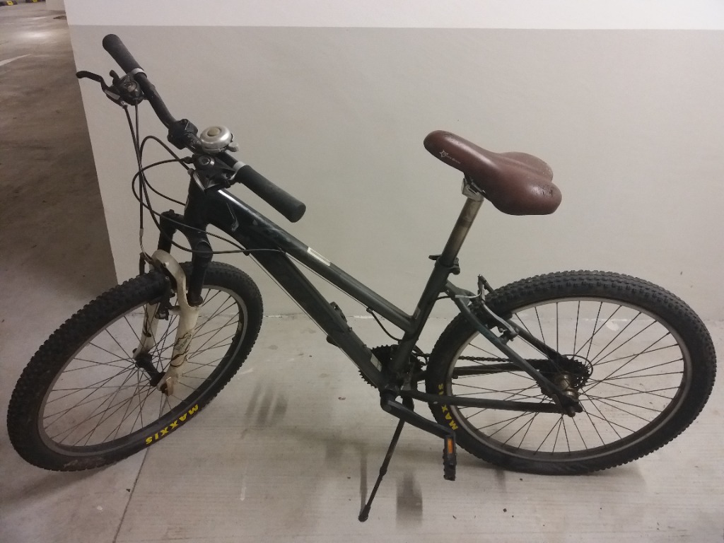 Trek skye 16 hotsell