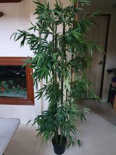 (Category: ) located in . Submitted by marikier (Listing ID 1064525337, Image 1). Description: .