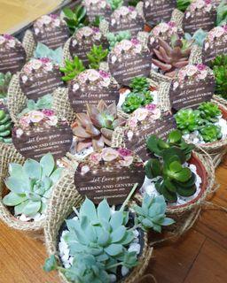 Customized Succulent for Event Tokens