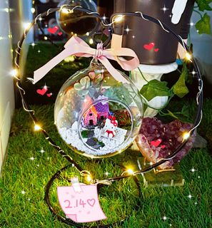 (Category: ) located in . Submitted by midori_botany (Listing ID 1064503561, Image 1). Description: .