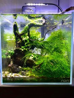 (Category: ) located in . Submitted by abamjiq (Listing ID 1064473574, Image 1). Description: .