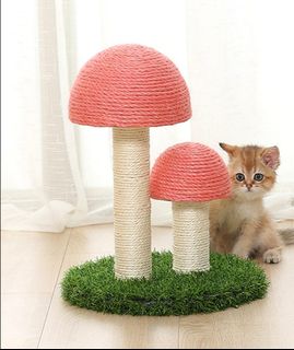 (Category: ) located in . Submitted by lovenicestuff (Listing ID 1064527677, Image 1). Description: .