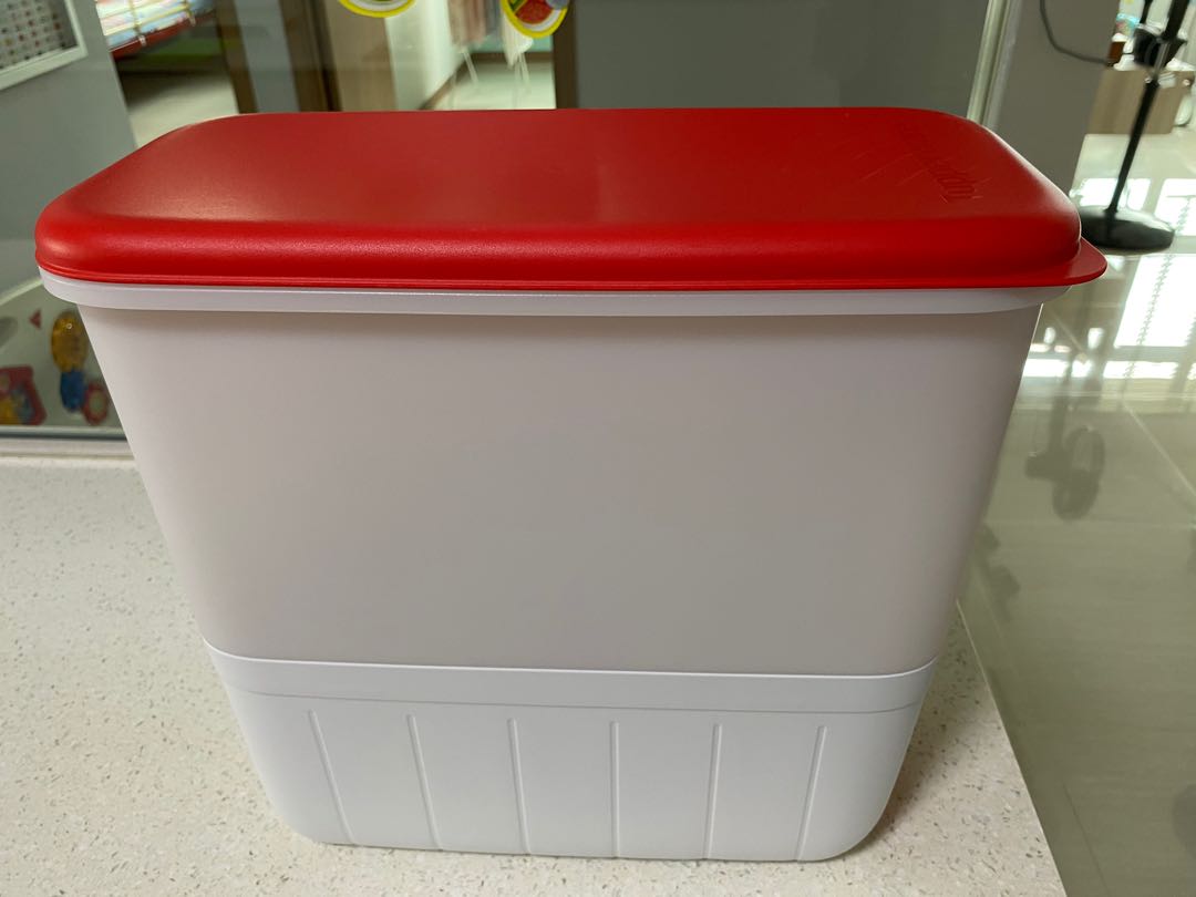 Tupperware rice bucket, TV & Home Appliances, Kitchen Appliances ...