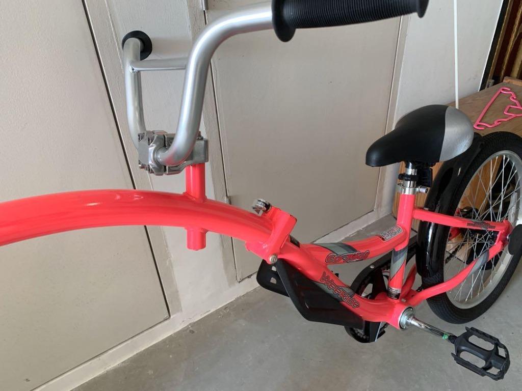Weeride co pilot best sale tagalong trailer bike