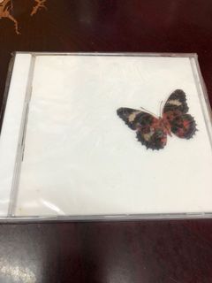 （分類：）位於 。 由 jolettek 提交（商品編號 1064855836，圖片 1）。簡介： 。