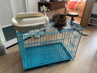 （分類：）位於 。 由 mandycat015 提交（商品編號 1064683282，圖片 1）。簡介： 。