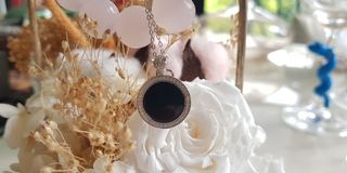 Black Collection (墨翠和乌鸡） 收藏品 2
