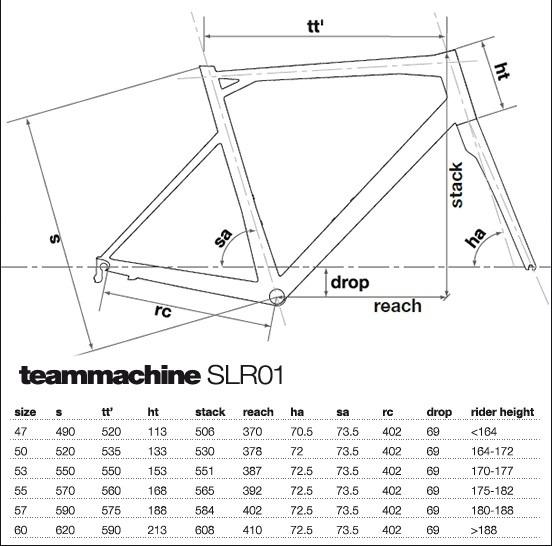 Bmc teammachine size guide sales
