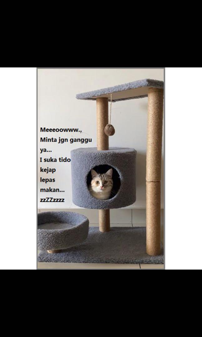 Cat Tree House, Pet Supplies, Pet Accessories on Carousell