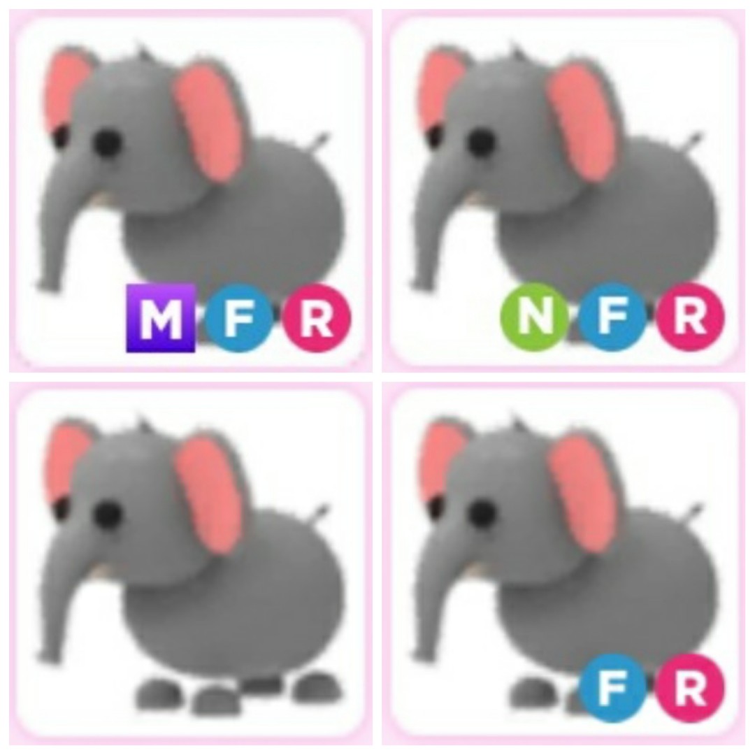Elephant Normal NFR MFR Adopt me pet Roblox, Toys & Games, Video
