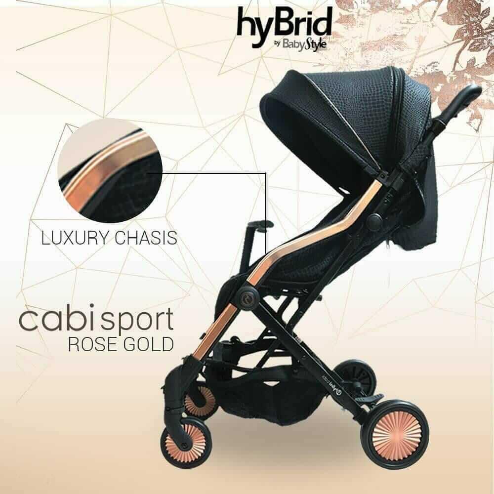 Hybrid buggy 2025
