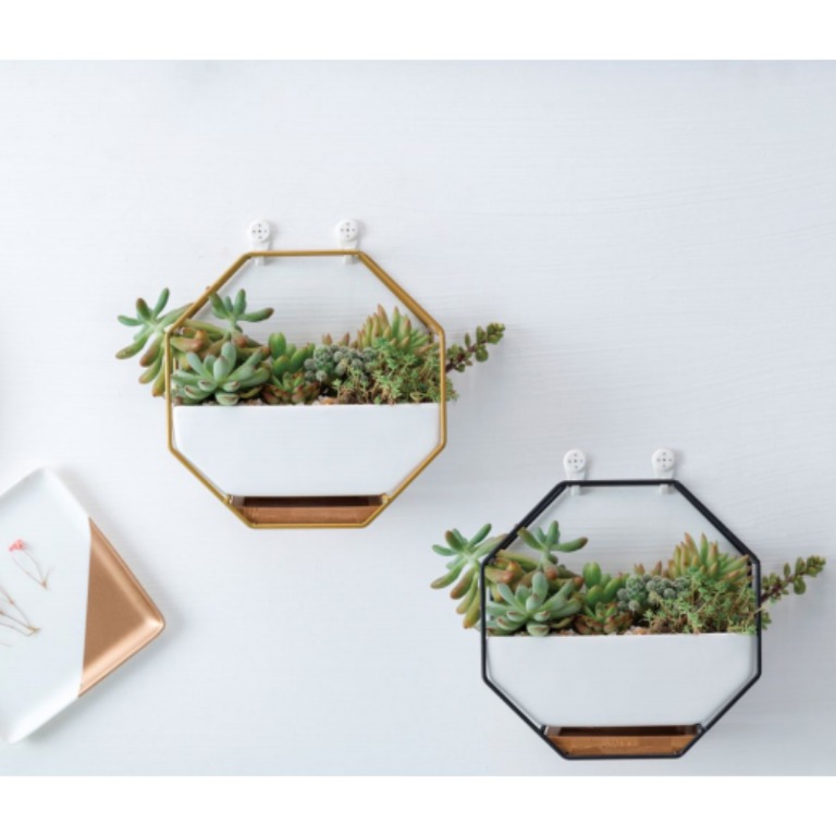 Unique Hexagon Wall Planters Table Top Plant Pot For Flower Succulent Plant Cactus Cute Small Trendy Unique Modern Home Decor Decorations Furniture Home Living Gardening Plants Seeds On Carousell