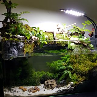 (Category: ) located in . Submitted by aidilistic (Listing ID 1065098308, Image 1). Description: .
