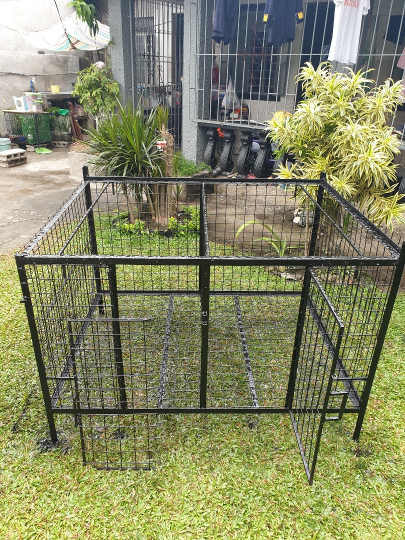 Twin dog cage online