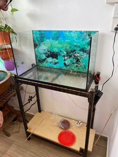 (Category: ) located in . Submitted by buttonsee (Listing ID 1064963083, Image 1). Description: .