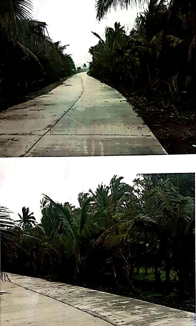 FOR SALE : Beachfront Property Lots (Category: Lot) located in Makati City. Submitted by hanevy (Listing ID 1065075792, Image 3). Description: FOR SALE: Beachfront Property Lot 🏝 ✅ Located in Barangay Ipil, Dipaculao, Aurora. It is the next Barangay after the Municipal Town proper of Baler, Aurora, around 10-15 minutes drive 🚗 from the Baler Town Proper. ✅ The property is safely documented with land titles. ✅ This property comes with coconut tr