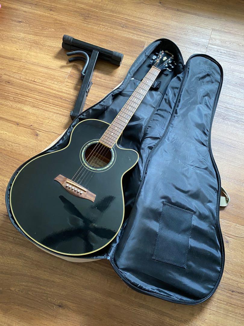 Ibanez ael10le online