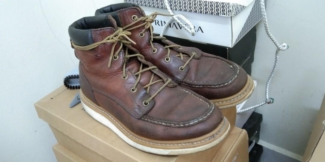 Irish shop setter 83605
