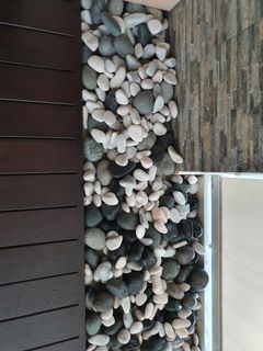 (Category: ) located in . Submitted by newbieracer (Listing ID 1064884853, Image 1). Description: .