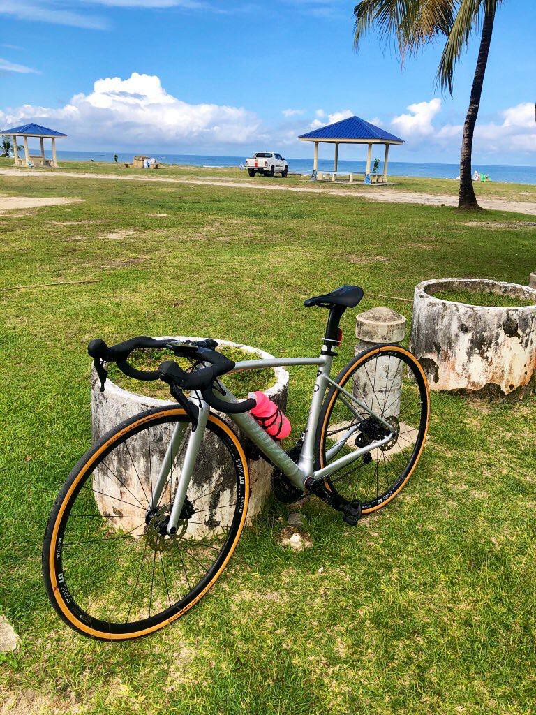 allez sprint peter sagan