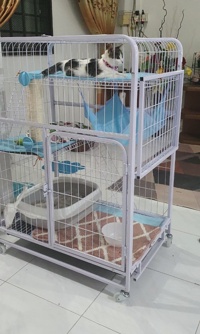 White hot sale cat cage