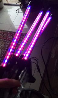 (Category: ) located in . Submitted by dashmanilapreloved (Listing ID 1065290543, Image 1). Description: .