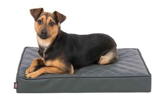 (Category: ) located in . Submitted by furquisite (Listing ID 1065126358, Image 1). Description: .