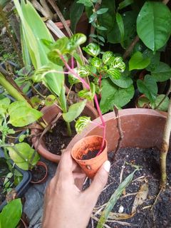 (Category: ) located in . Submitted by bs_servicesmalaysia (Listing ID 1065135314, Image 1). Description: .