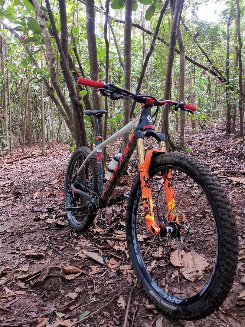 Scott scale best sale 730 plus 2018