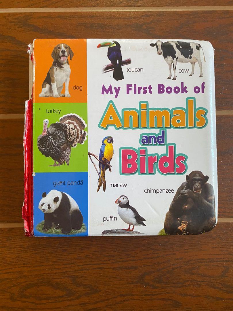 Toddler Board Book - My First Book of Animals and Birds, Hobbies & Toys, Books & Magazines, Children's Books on Carousell Toddler Board Book - My First Book of Animals and Birds, Hobbies & Toys, Books & Magazines, Children's Books on Carousell