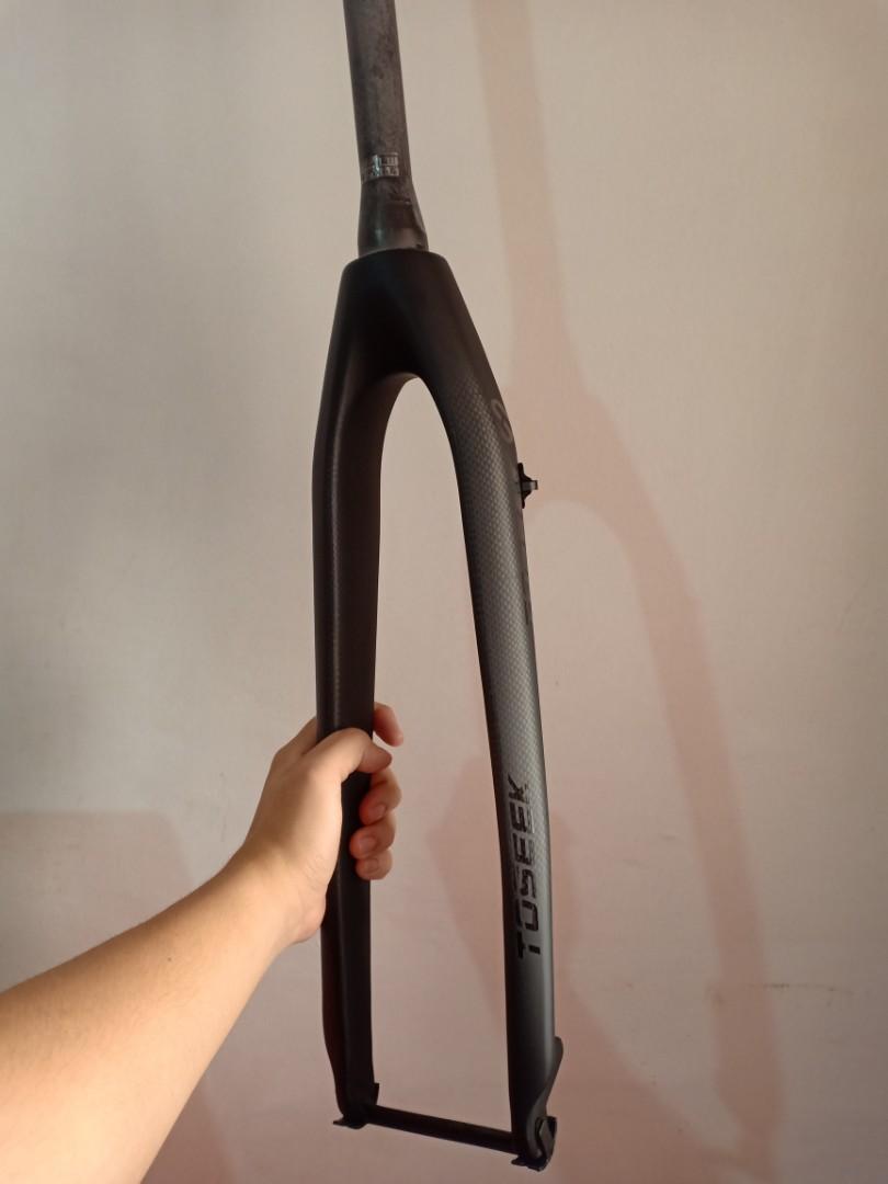 Rigid fork hotsell carbon