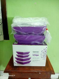 Tupperware Promo Purple Ichigo