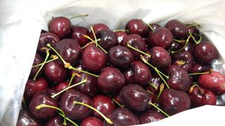 （分類：）位於 。 由 adamlai520 提交（商品編號 1065446479，圖片 1）。簡介： 。