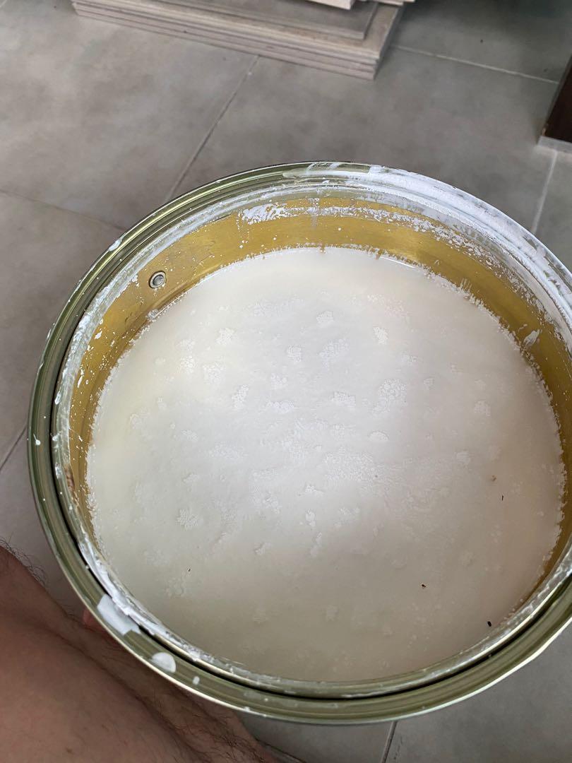 Berger waterbased sealer white 5 litres, Everything Else on Carousell