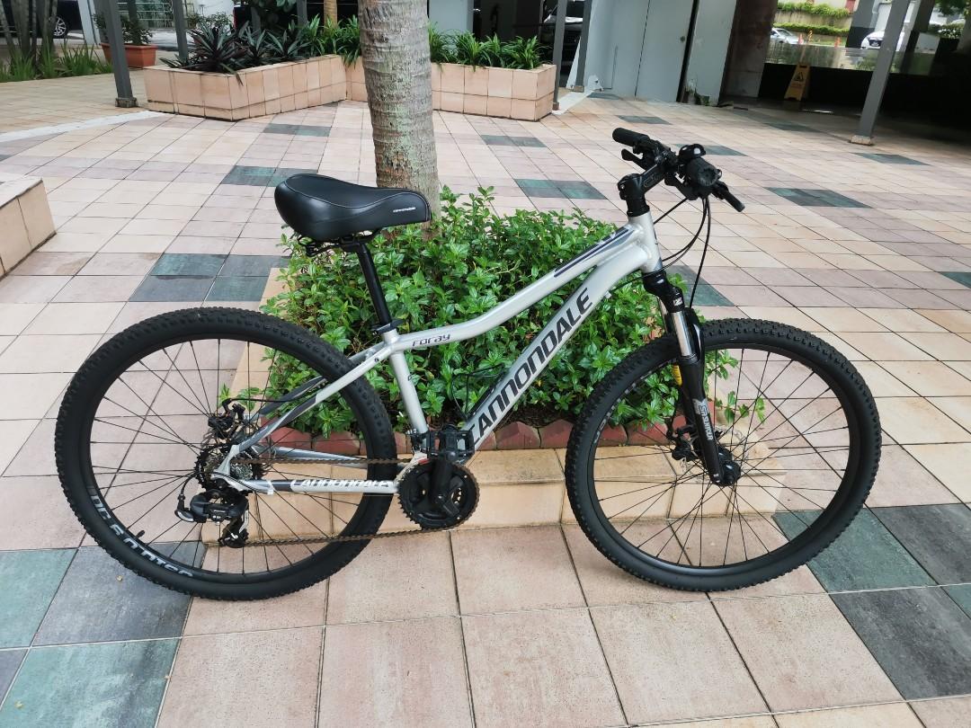 Cannondale foray top 2