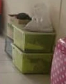 (Category: ) located in . Submitted by driba (Listing ID 1065484512, Image 1). Description: .