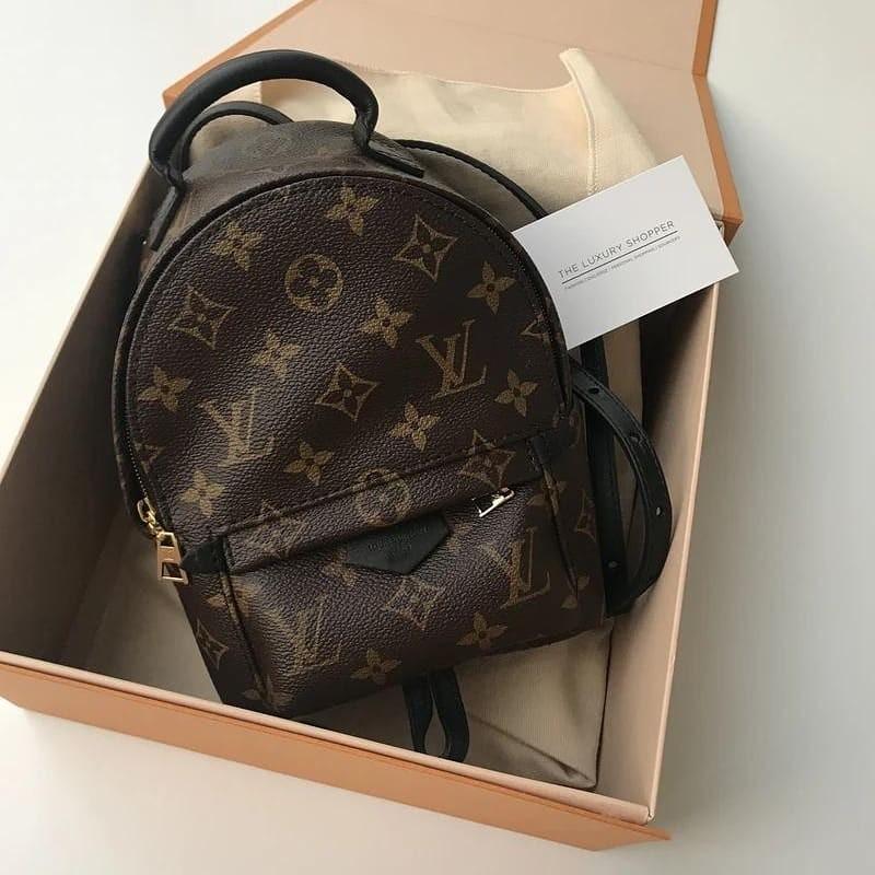 Louis vuitton classic backpack hotsell