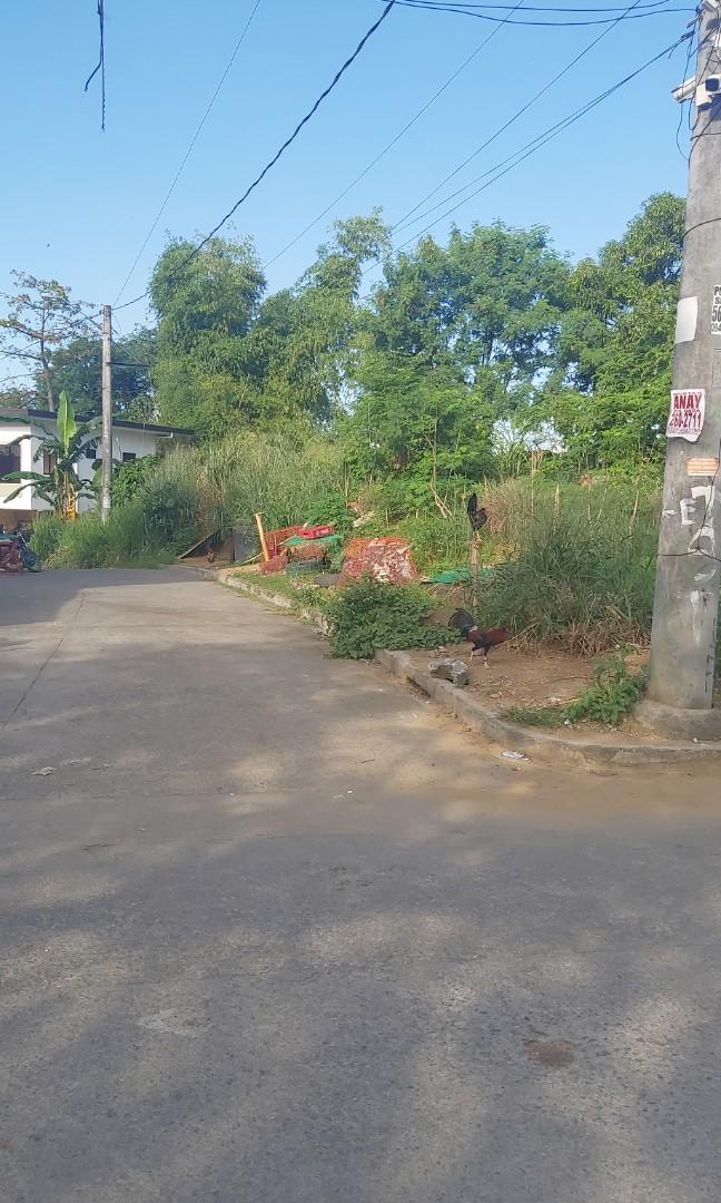 Our Lady of Lourdes Subdivision Antipolo, Property, For Sale, Lot on