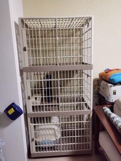 （分類：）位於 。 由 freeman138 提交（商品編號 1065765741，圖片 1）。簡介： 。